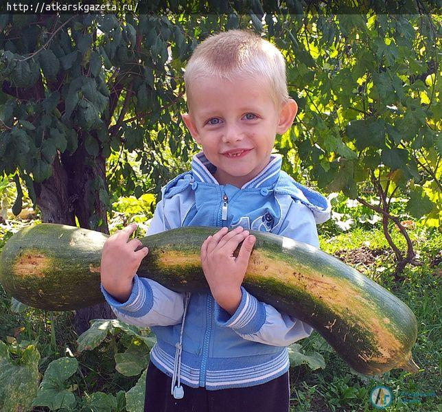 КОНКУРС «АГ».  У бабы Кати выросла тыква длиной около метра
