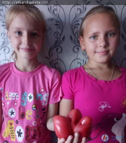 Конкурс «АГ». У Марины Михайловой вырос помидор сорта «Бычье сердце» весом 570 граммов