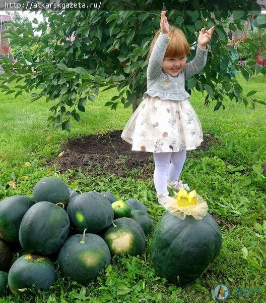 Конкурс «АГ». Урожайный натюрморт в огороде создала Ксения ЛАЗАРЕВА с дочкой Вероникой