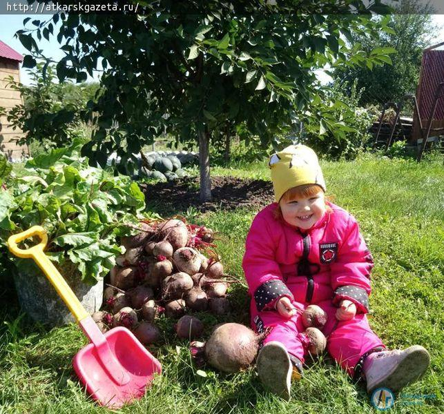 Конкурс «АГ». Урожайный натюрморт в огороде создала Ксения ЛАЗАРЕВА с дочкой Вероникой