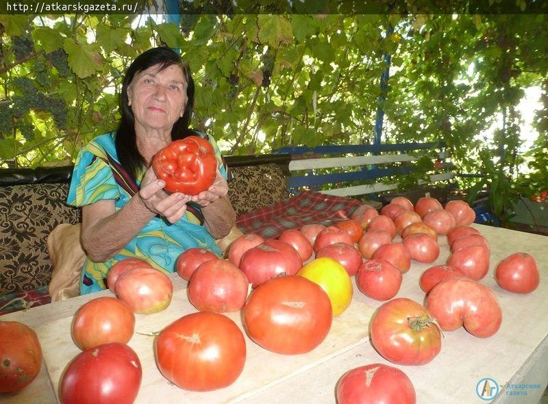 Конкурс "АГ". В Аткарске даже помидор мечтает быть розой