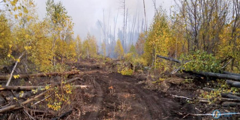 Лесной пожар под Новой Ивановкой локализован