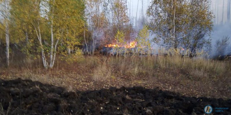 Лесной пожар под Новой Ивановкой локализован