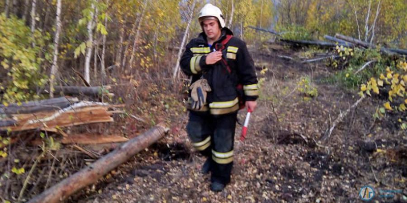 Лесной пожар под Новой Ивановкой локализован