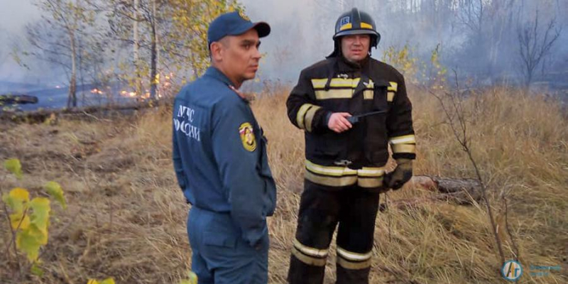 Лесной пожар под Новой Ивановкой локализован