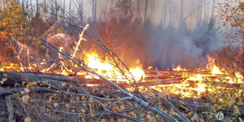 Лесной пожар под Новой Ивановкой локализован