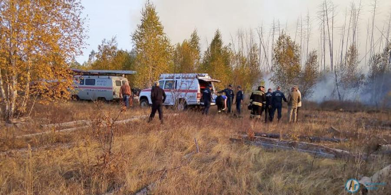 Лесной пожар под Новой Ивановкой локализован