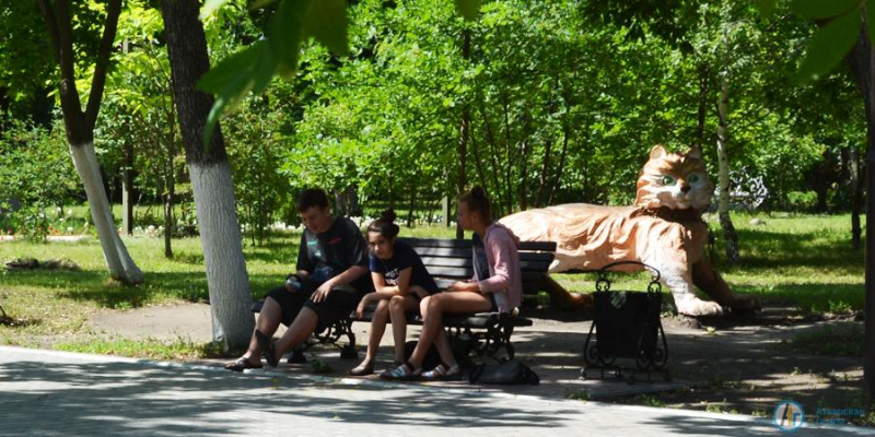 Летние краски городского парка. Фоторепортаж