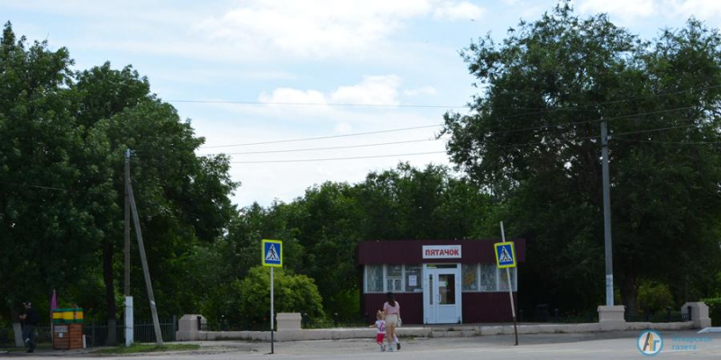 Летние краски городского парка. Фоторепортаж