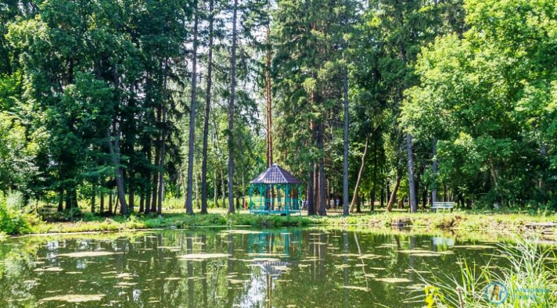 Марфинский парк назвали перспективным для экотуризма