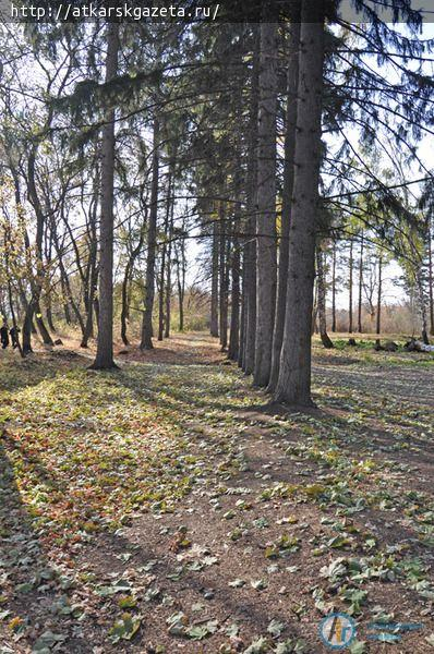 Марфинский парк станет одним из главных туристических объектов района (ФОТО)