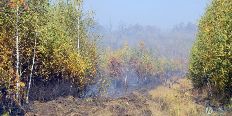 Масштабный пожар под Новой Ивановкой тушат 50 человек 