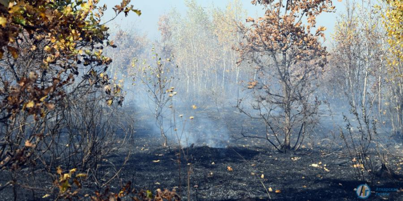 Масштабный пожар под Новой Ивановкой тушат 50 человек 