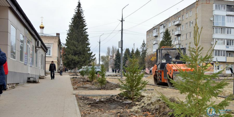 На "КЛАССной улице" началось озеленение 