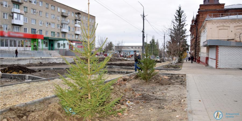 На "КЛАССной улице" началось озеленение 