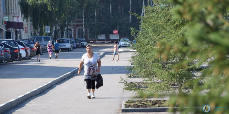 На площади Гагарина зреют еловые шишки и благоухают цветы. Фотозарисовка