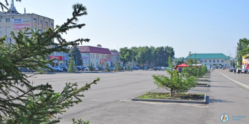 На площади Гагарина зреют еловые шишки и благоухают цветы. Фотозарисовка