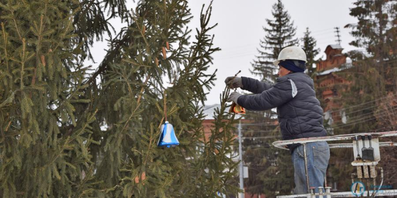 На площади Звезд установили живой символ Нового года