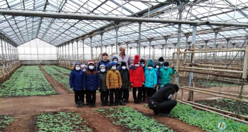 Петровских школьников научили выращивать тепличные огурцы