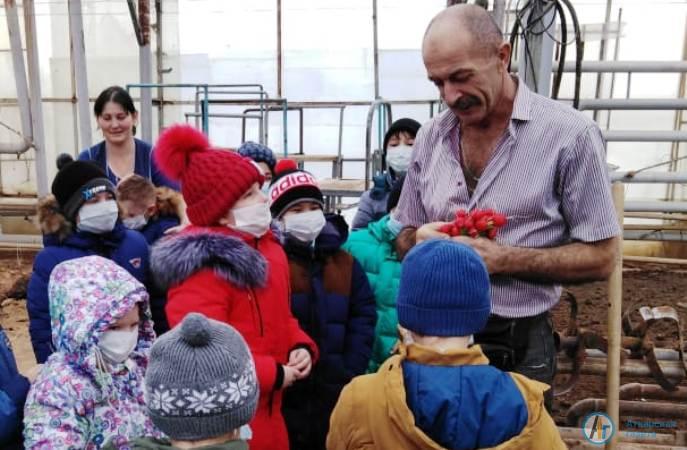 Петровских школьников научили выращивать тепличные огурцы