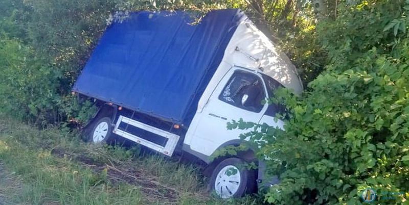 Под Аткарском ГАЗель съехала в кювет и уперлась в дерево