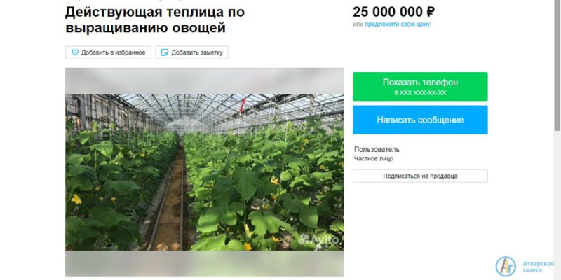 Под Аткарском за 25 миллионов продают огуречную теплицу