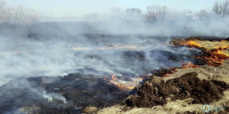 Под Барановкой пенсионер устроил масштабный пожар 