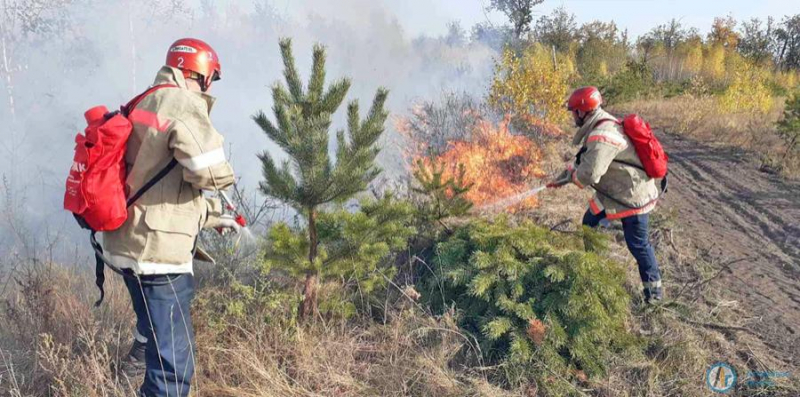 Под Новой Ивановкой сгорело 1,5 га леса  