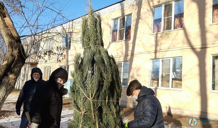 Под окнами ковидного госпиталя волонтеры нарядили елку