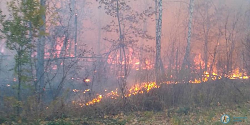 Под Варыпаевкой вторые сутки бушует масштабный лесной пожар