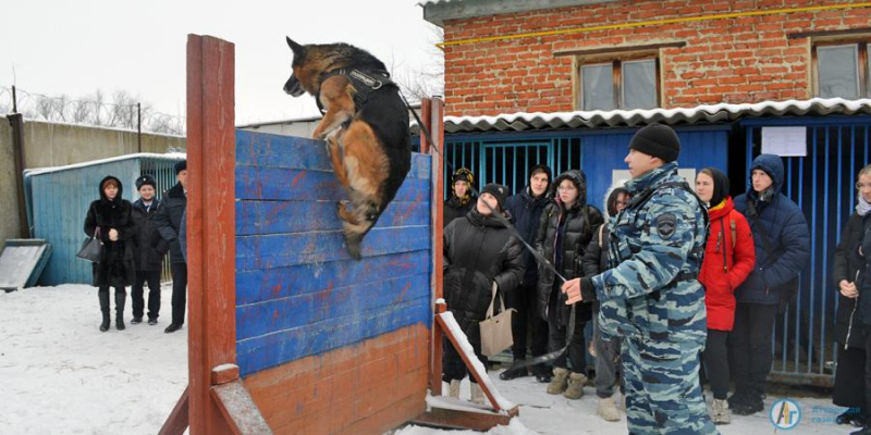 Полицейские собаки поразили студентов своей дисциплиной 