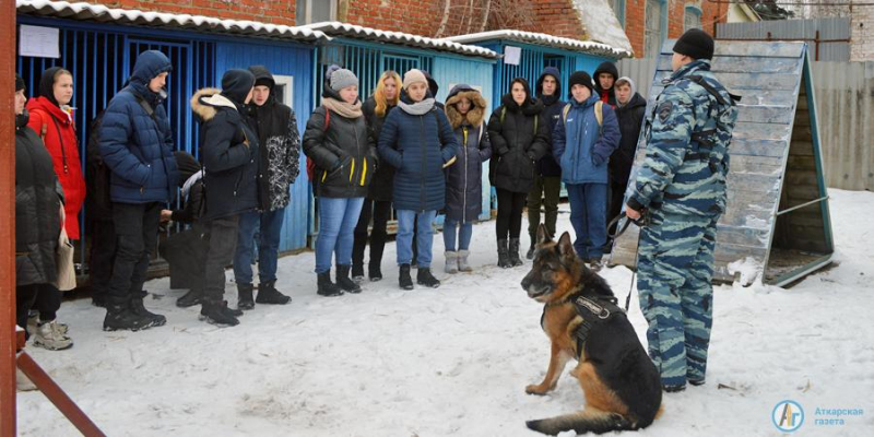 Полицейские собаки поразили студентов своей дисциплиной 