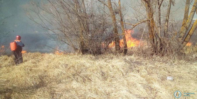 Пожар на озере в Аткарске уничтожил 1,5 гектара камыша