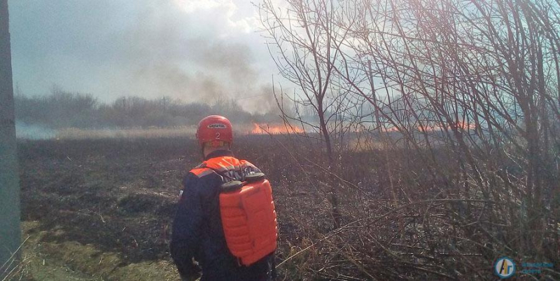 Пожар на озере в Аткарске уничтожил 1,5 гектара камыша