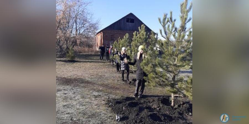 Радхан Юсибов подарил Марфинской школе 26 хвойных деревьев