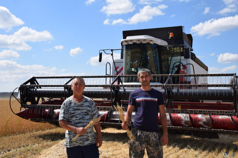 Район готовит закрома для рекордного урожая