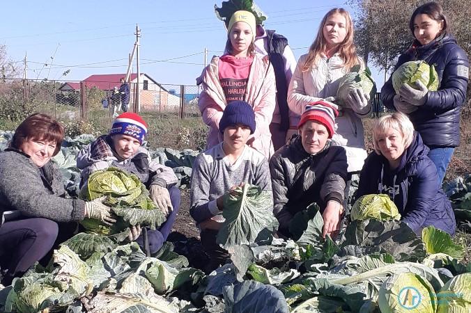 Рекордный урожай капусты вырастили школьники в Марфино