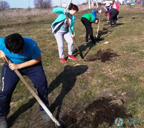 Сад памяти объединил жителей аткарского села