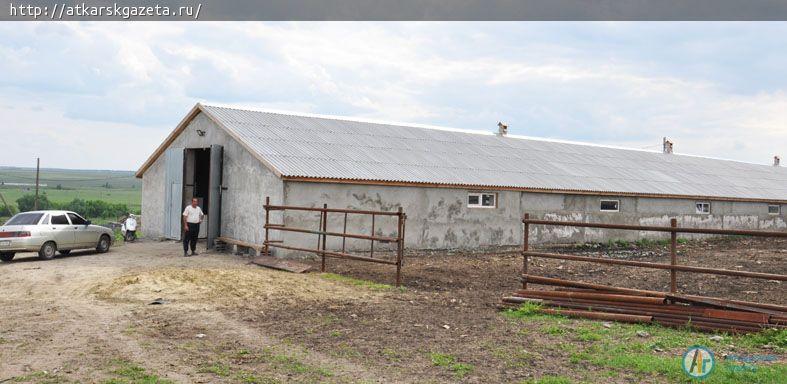 Самая современная частная ферма района построена в Языковке (ФОТО)