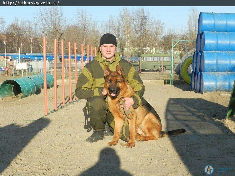 Самой красивой собакой Аткарска читатели сайта выбрали пуделя Тотошку