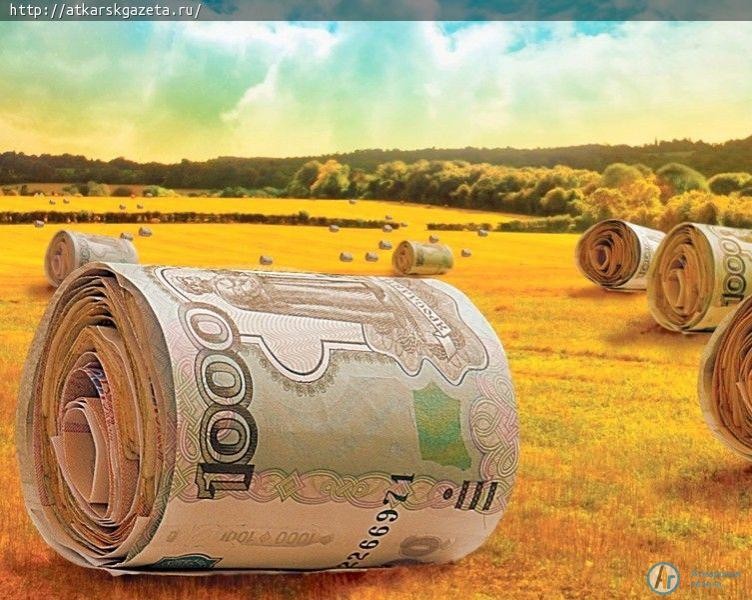 Самый дорогой земельный участок в Саратовской области находится в Аткарском районе