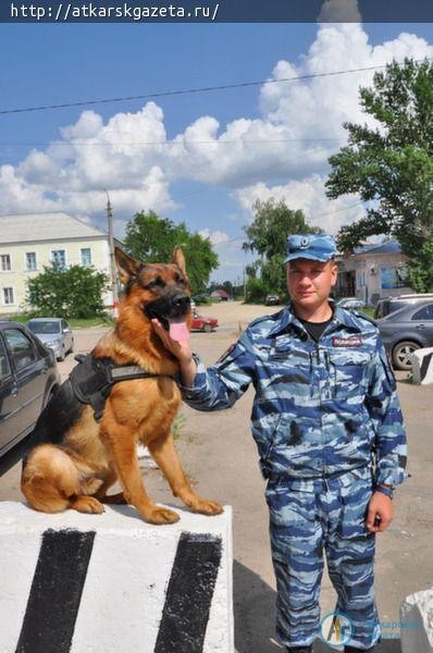 Сегодня - День кинологических подразделений МВД