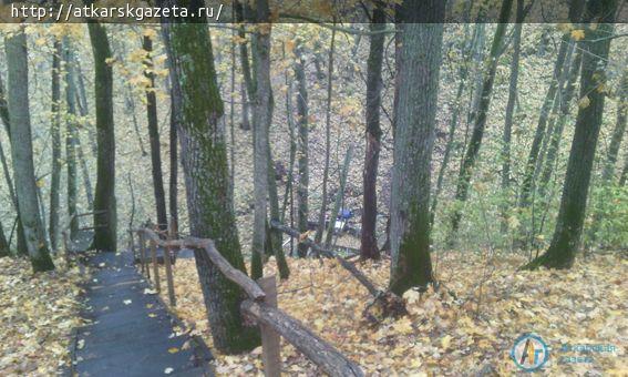 Сегодня на Николаевском роднике прошел субботник (ФОТО)