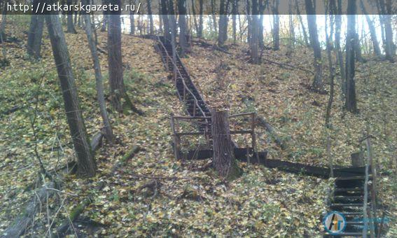 Сегодня на Николаевском роднике прошел субботник (ФОТО)