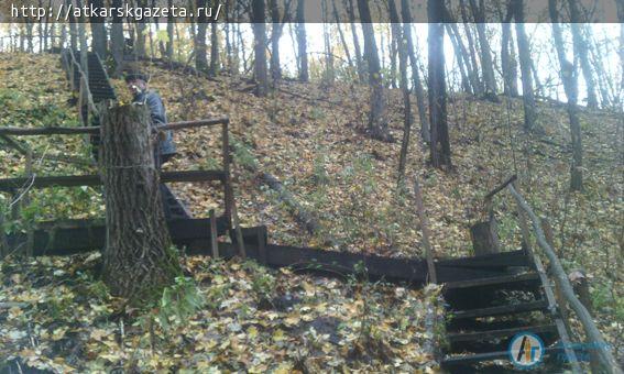 Сегодня на Николаевском роднике прошел субботник (ФОТО)