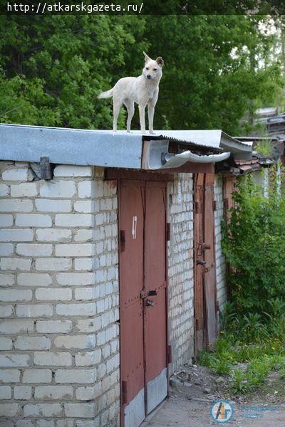 Сегодня ночью в коллектор 5-метровой глубины провалилась женщина (ФОТО)