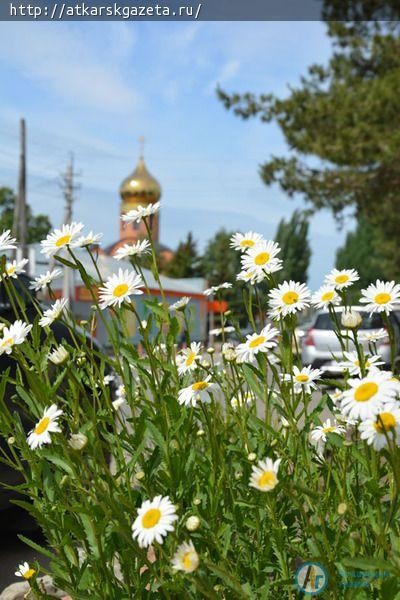 Сегодня отмечается Всемирный день фотографии (ФОТО)