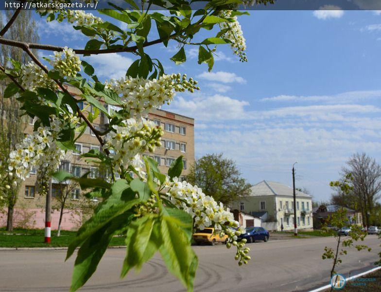 Сегодня отмечается Всемирный день фотографии (ФОТО)