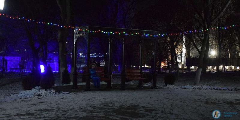 Сегодня в парке зажглись 10 000 новогодних огней