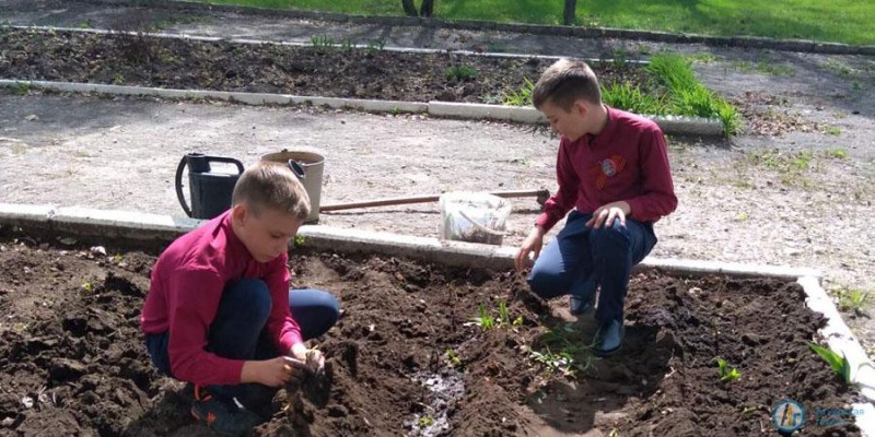 Школьники села Петрово посадили во дворе ландышевую поляну